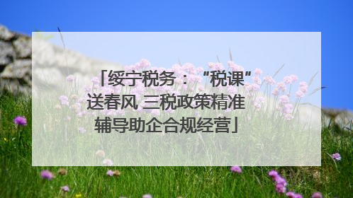 绥宁税务：“税课”送春风 三税政策精准辅导助企合规经营